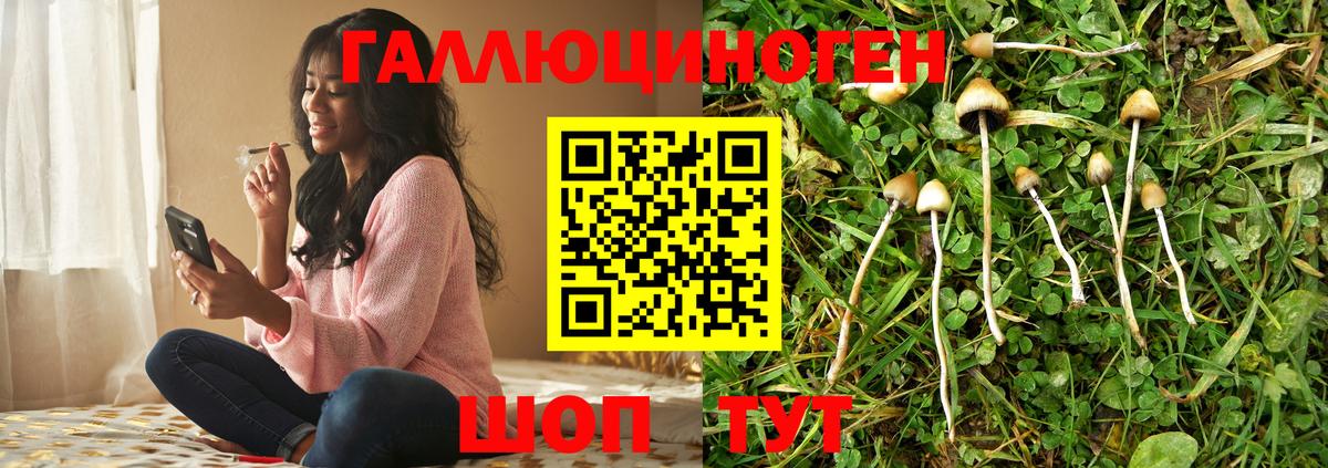 наркошоп  Псилоцибиновые грибы Psilocybe  Вход с VPN  Псилоцибиновые грибы GOLDEN TEACHER  Заволжье 